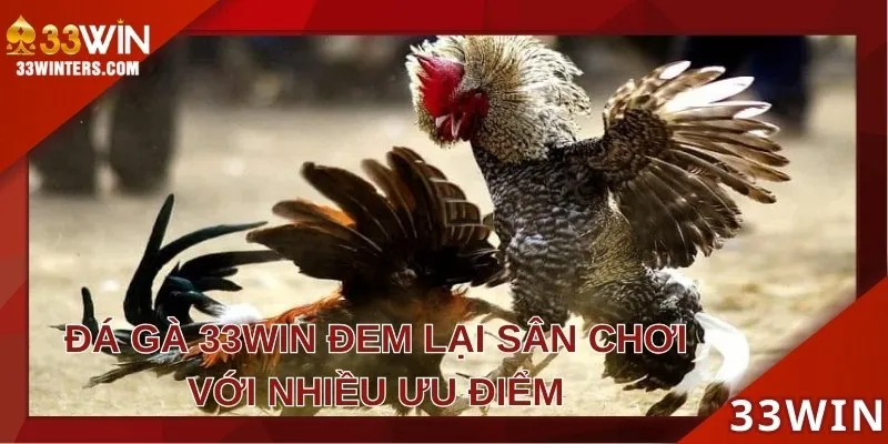 33WIN cung cấp những ván game đầy kịch tính