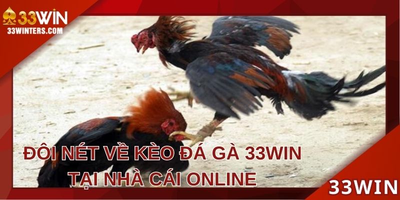 Đôi nét về kèo đá gà 33WIN 