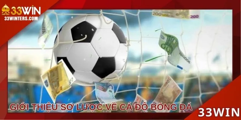 Giới thiệu sơ lược về cá cược bóng đá