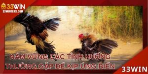 Nắm vững các tình huống thường gặp để kịp ứng biến