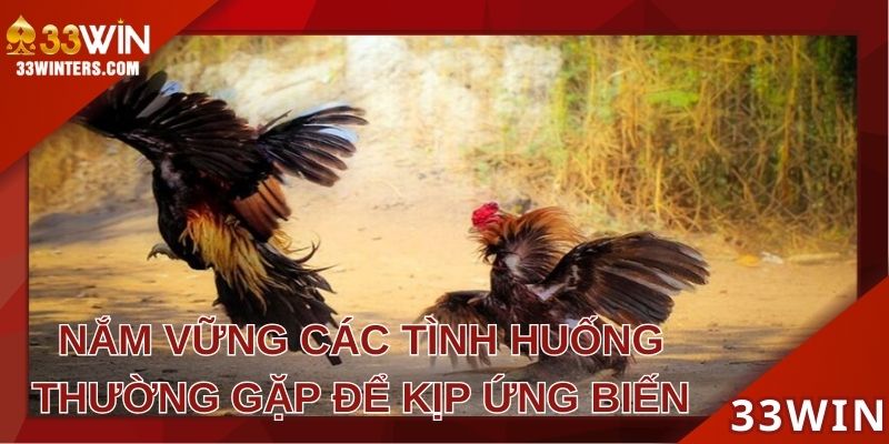 Nắm vững các tình huống thường gặp để kịp ứng biến